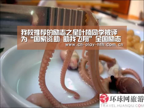 华体会登录